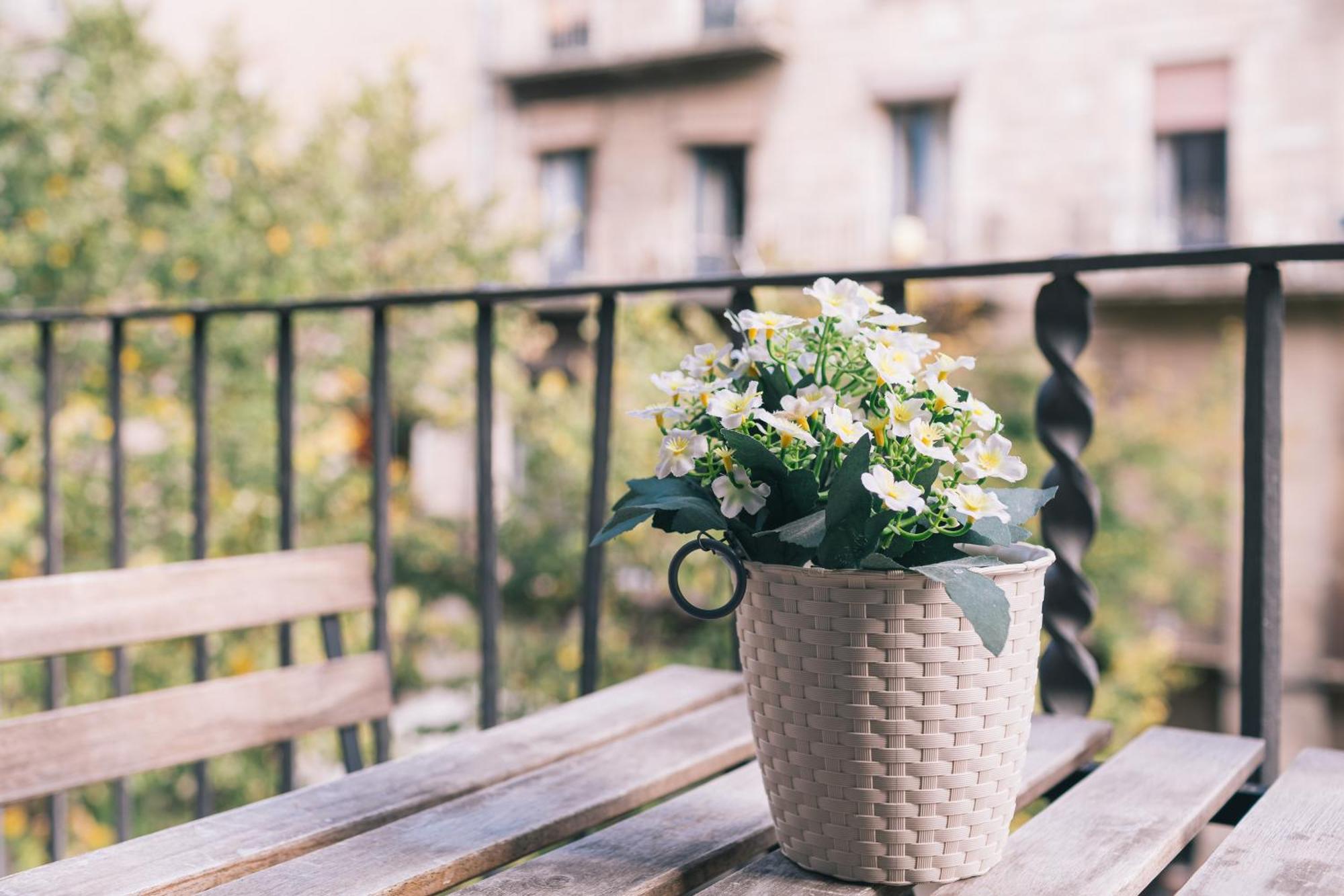 Apt 3 Cipres Girona Luaran gambar